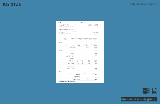 Beispiel einer Gehaltsabrechnung des Wellstar Health Systems